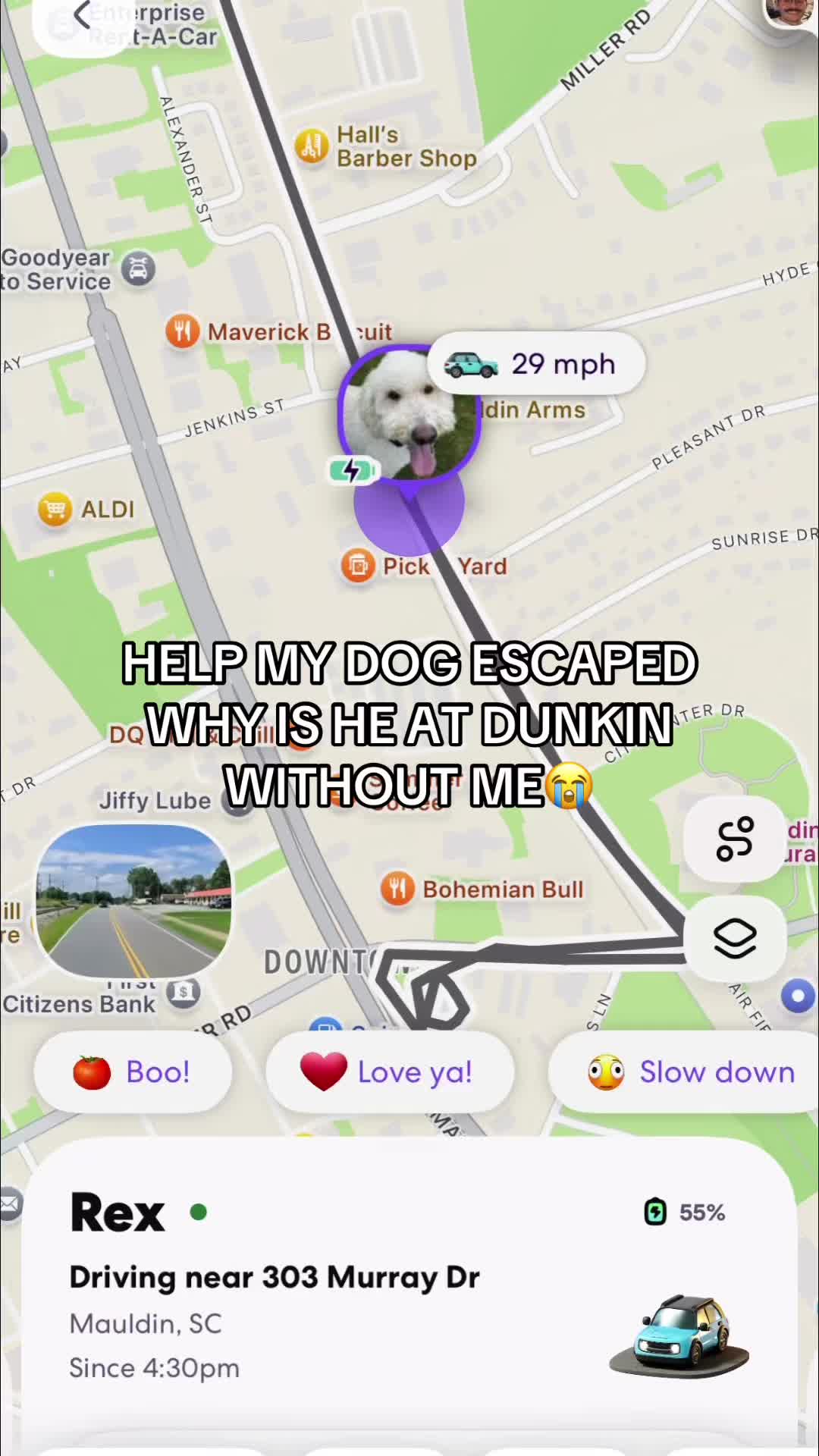 @Life360