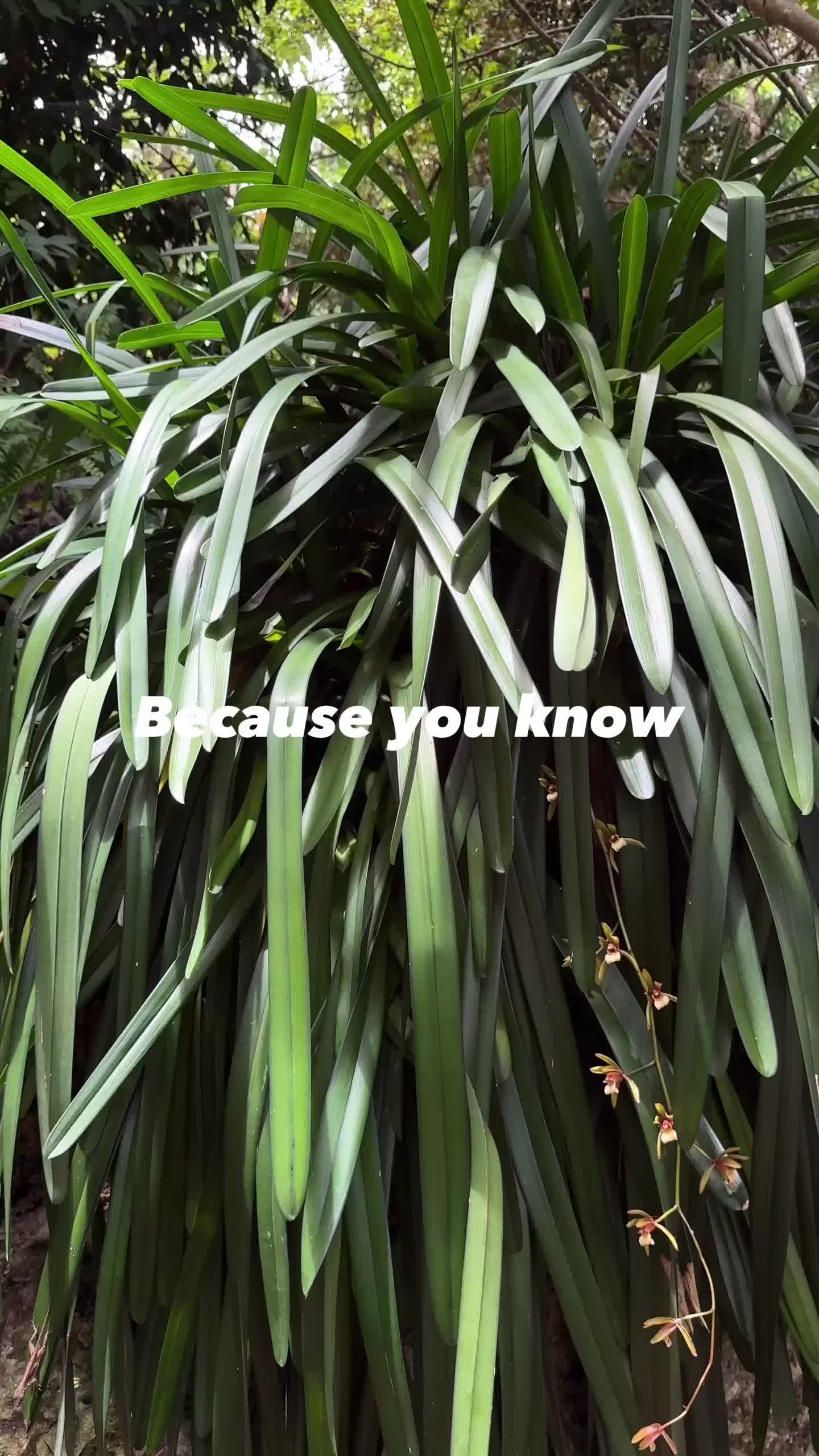 @Fairchild Botanic Garden