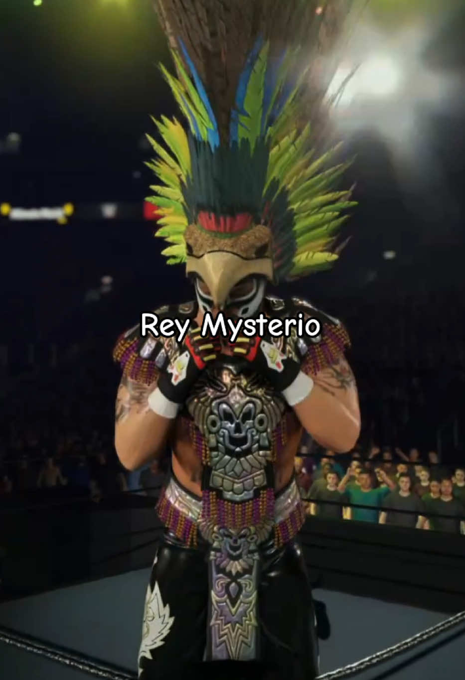 @rogueundenied