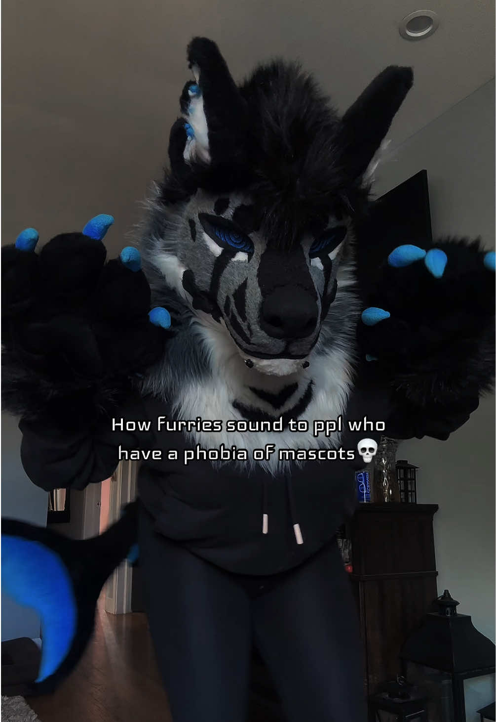 @sonar_hyena_shark