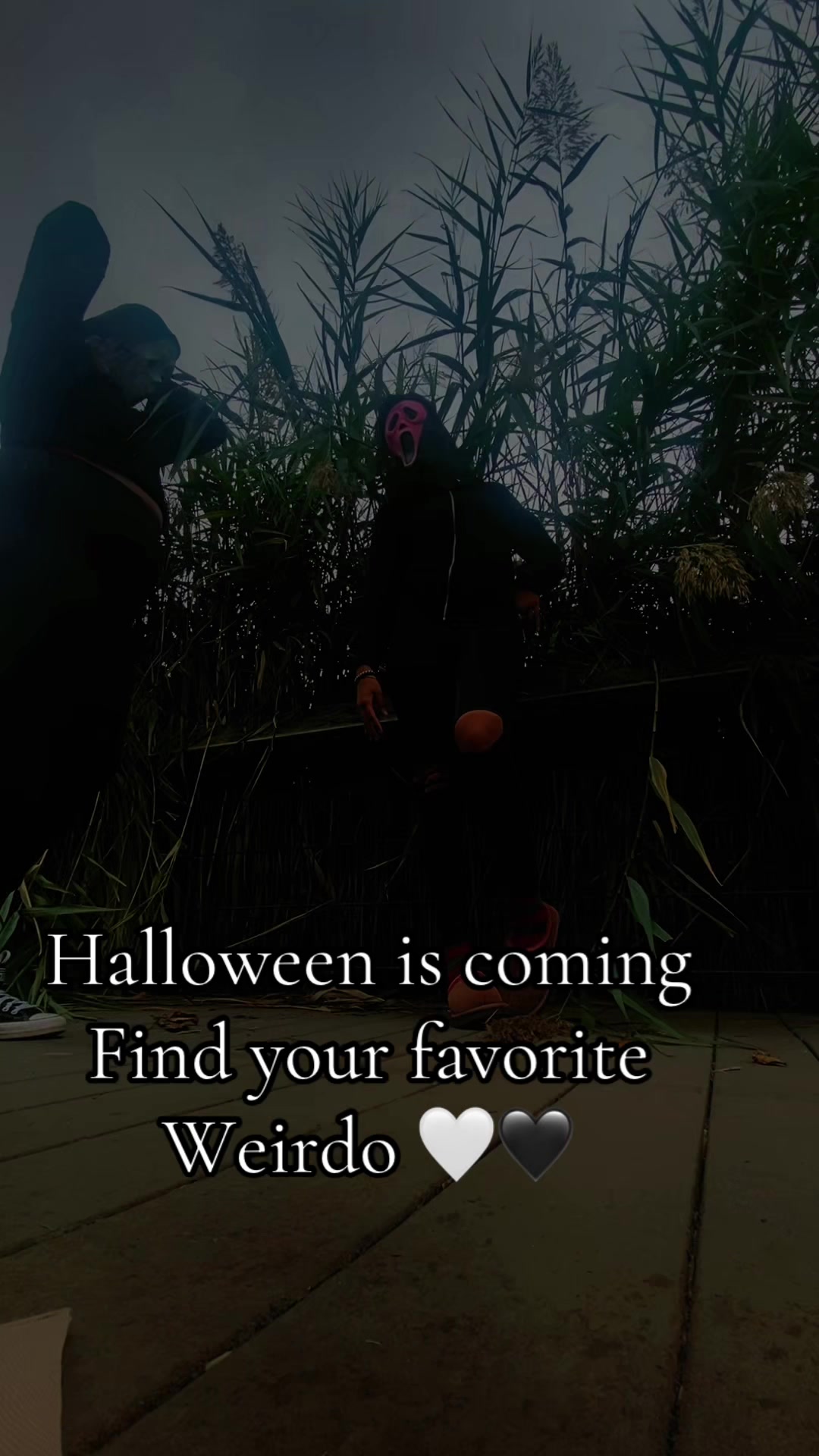 @Meg