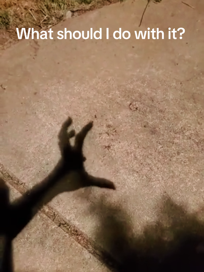 @Airwreckathegreat