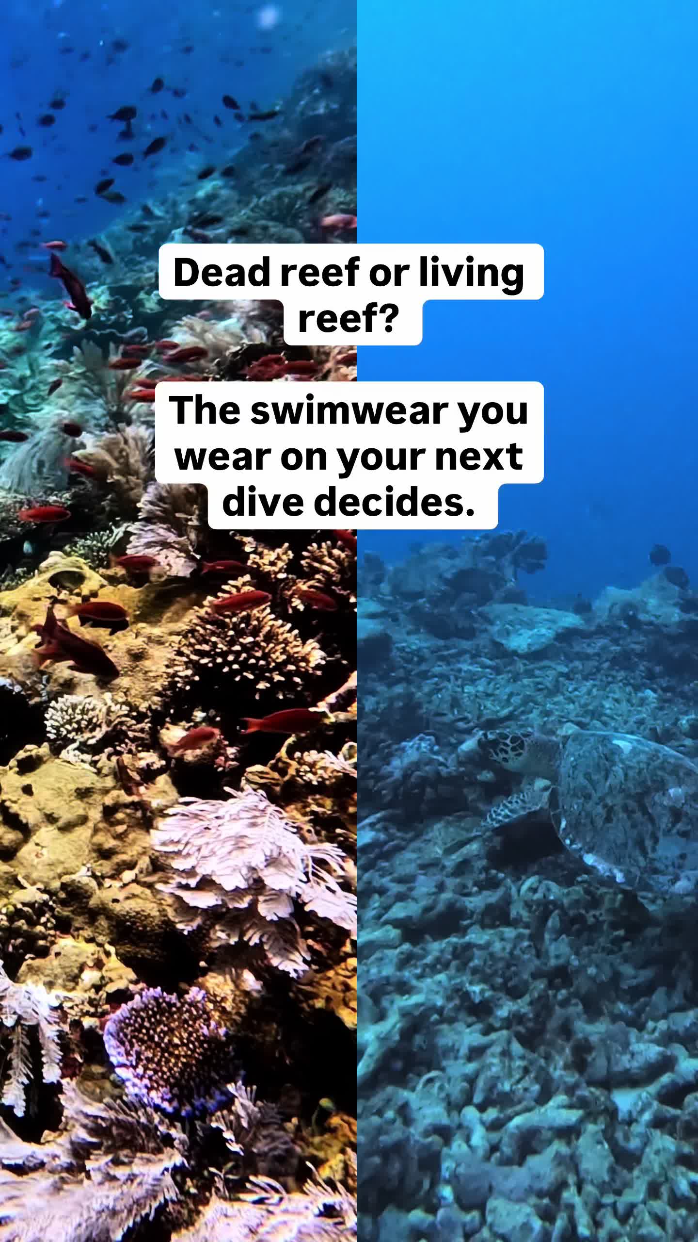 @The Dive Compass