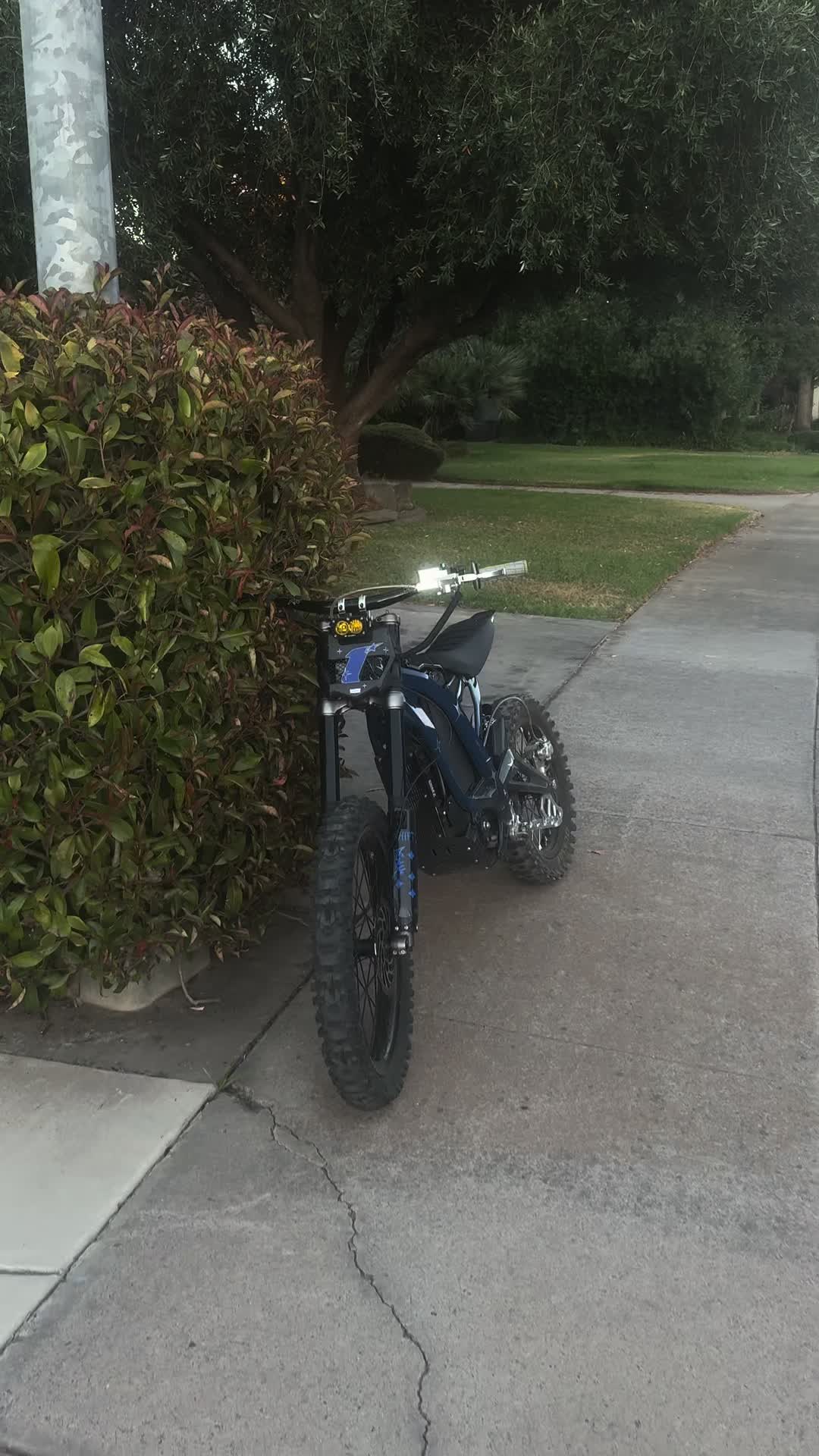 @𝔉🦈