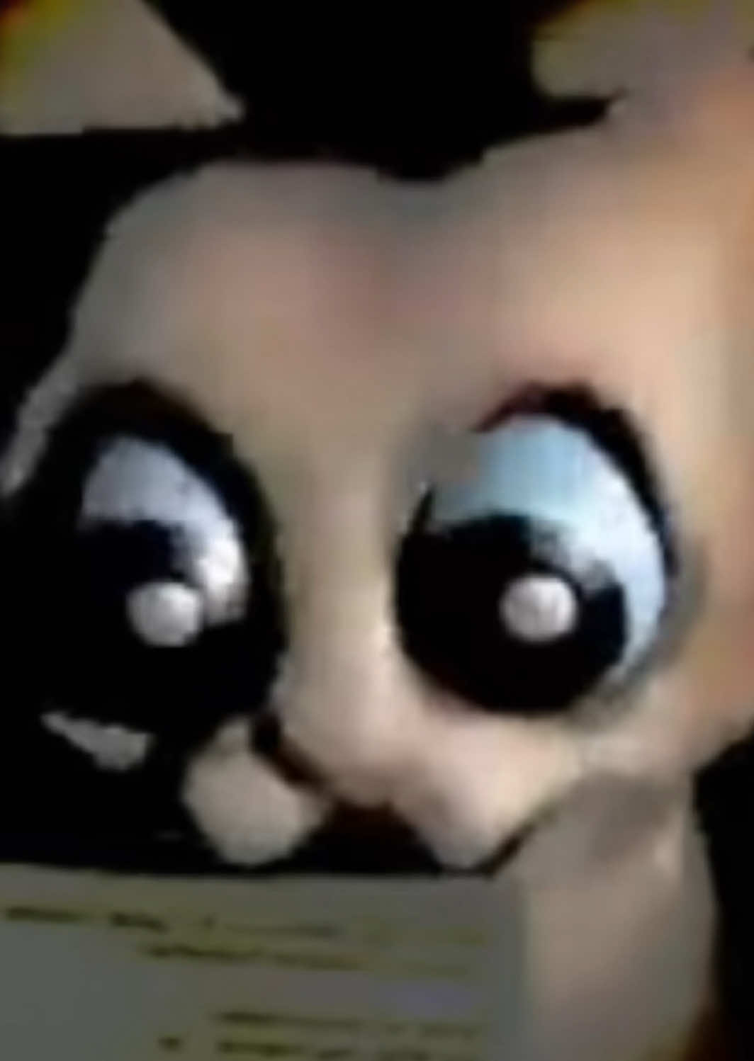 @Floretta Doo