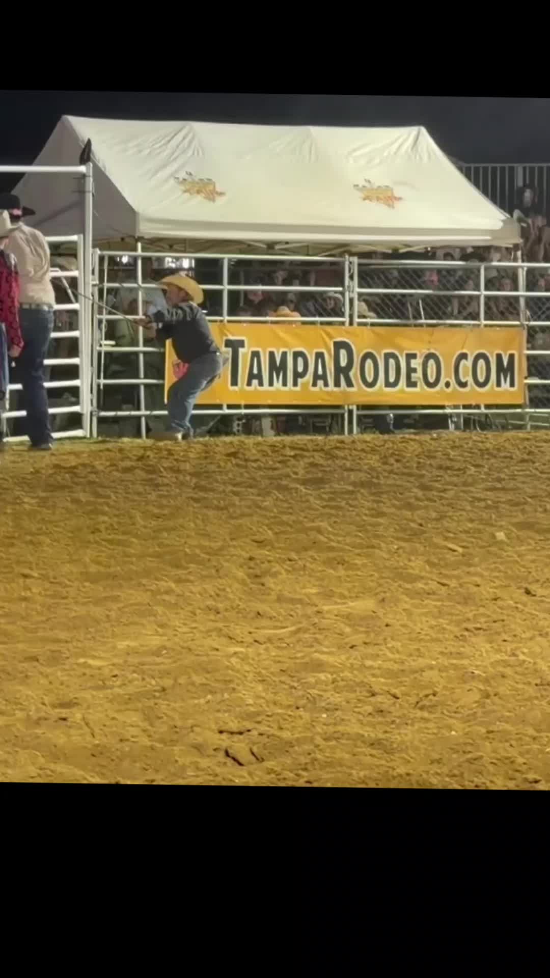 @RickyRingerDaBullStinger