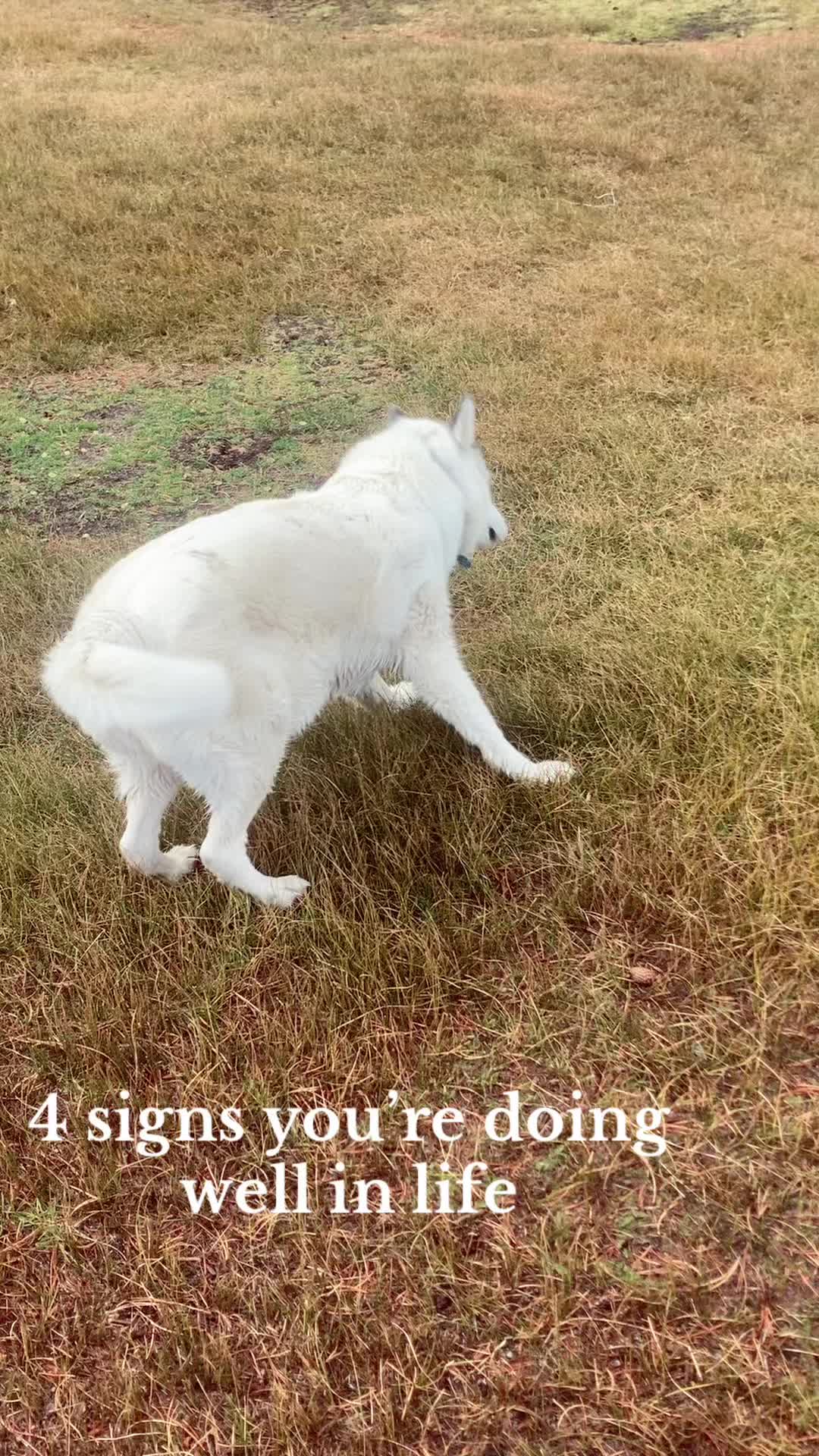 @HikeMike