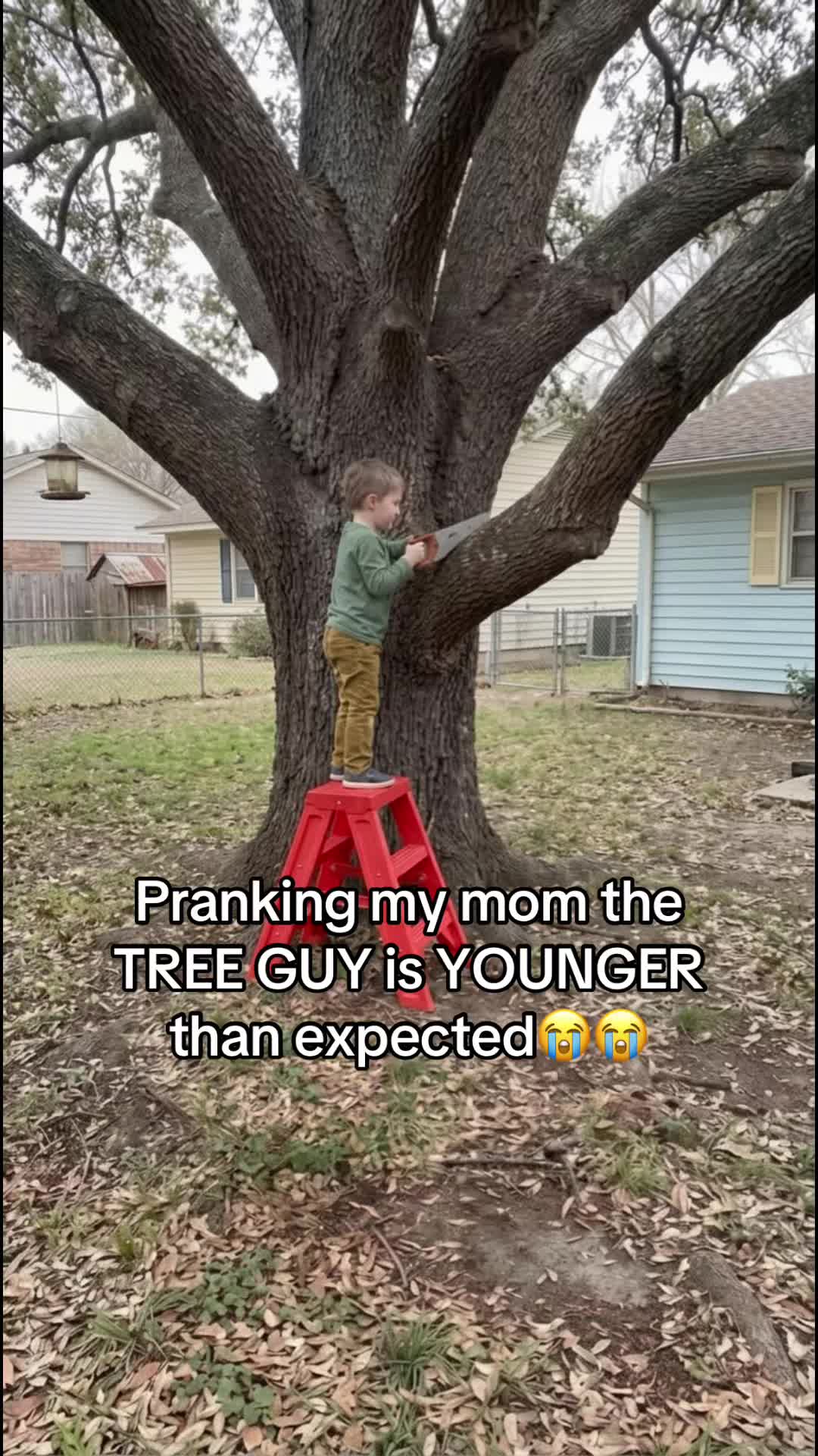 @Noah