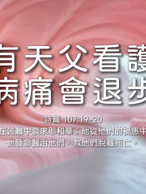@LFC活力生命