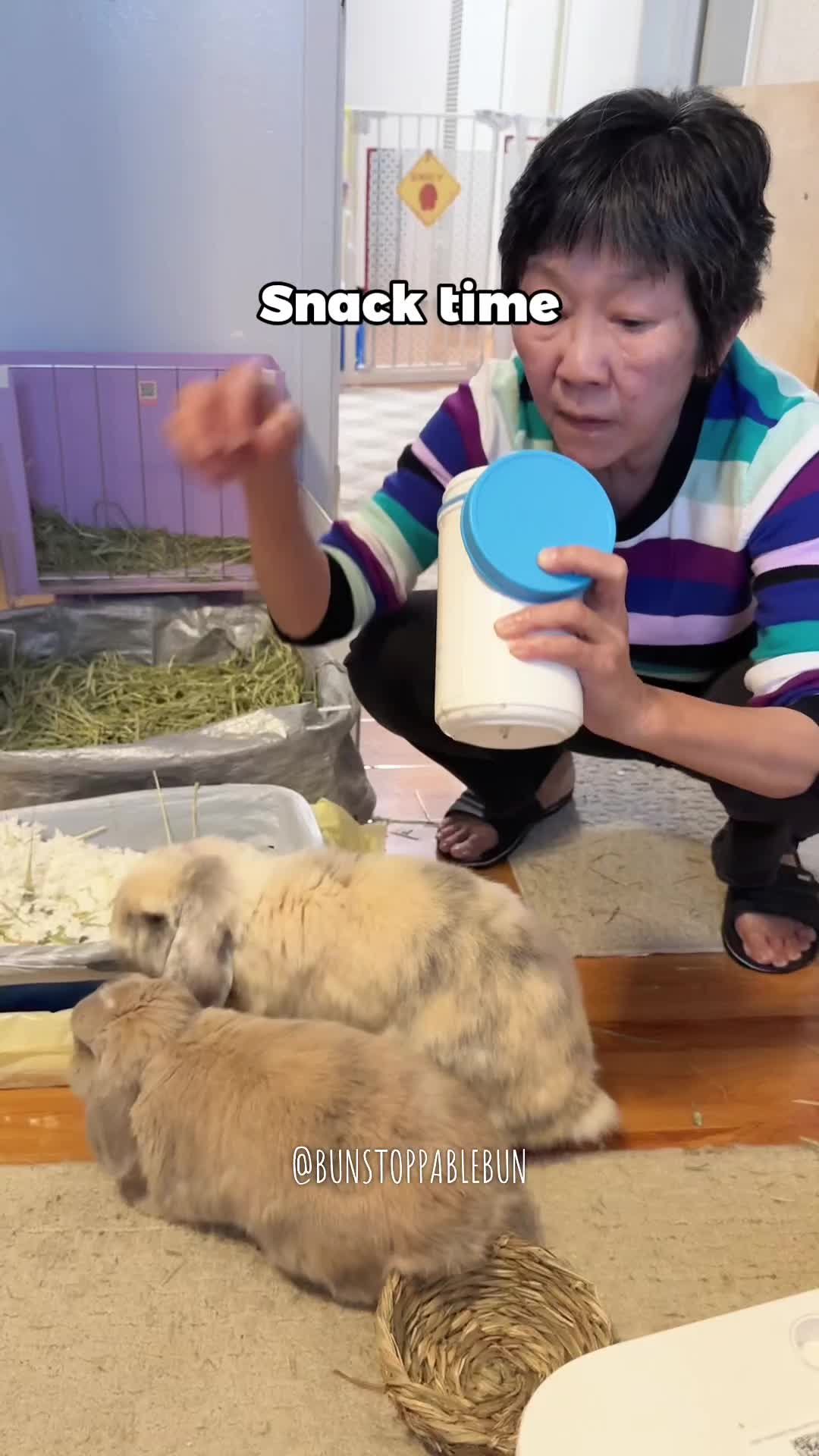 @BunBun, Mochi🌈, Chewy