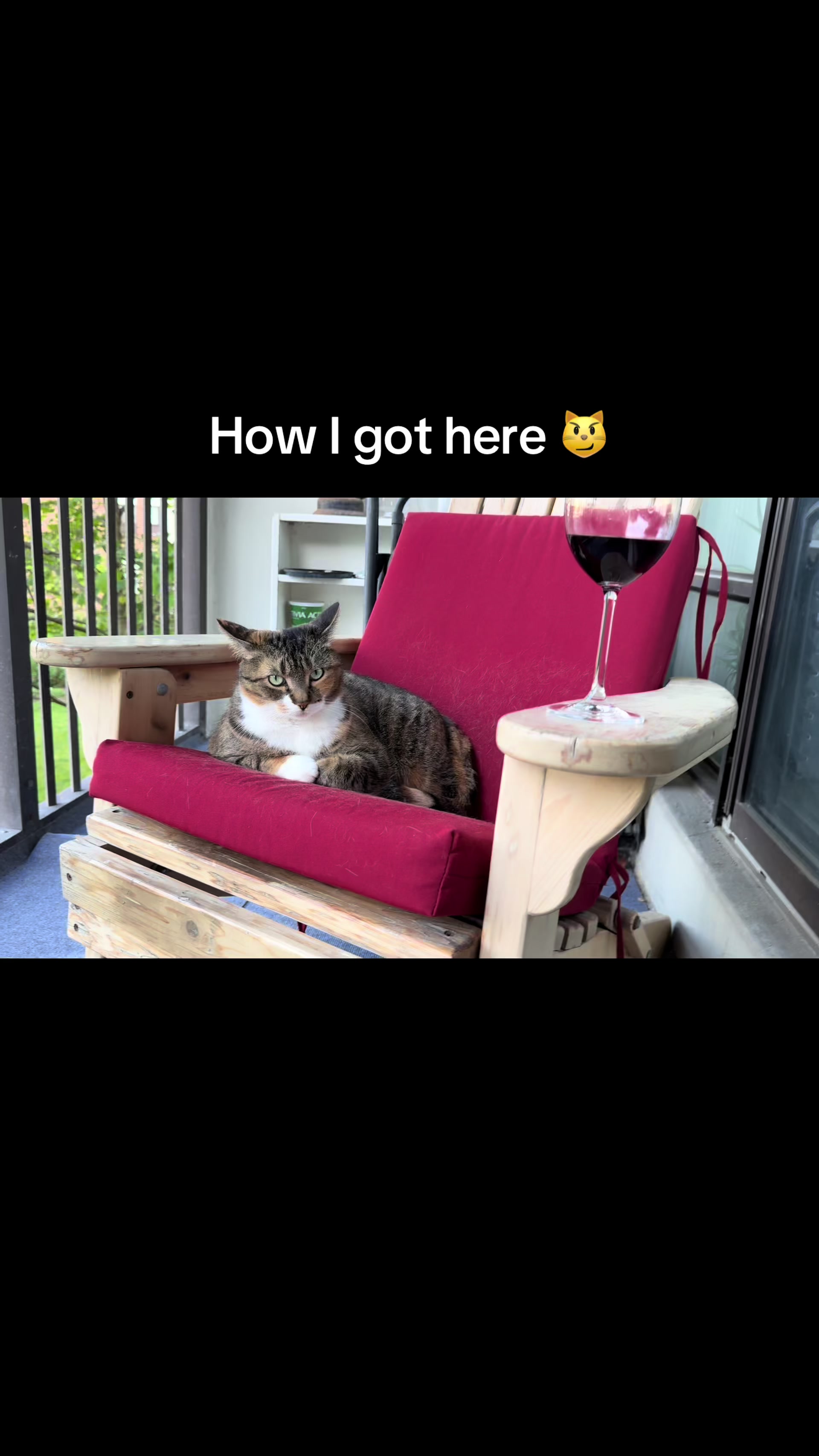 @Donna🇨🇦