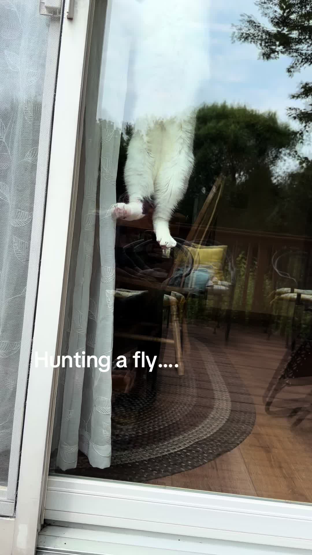 @Bratcats