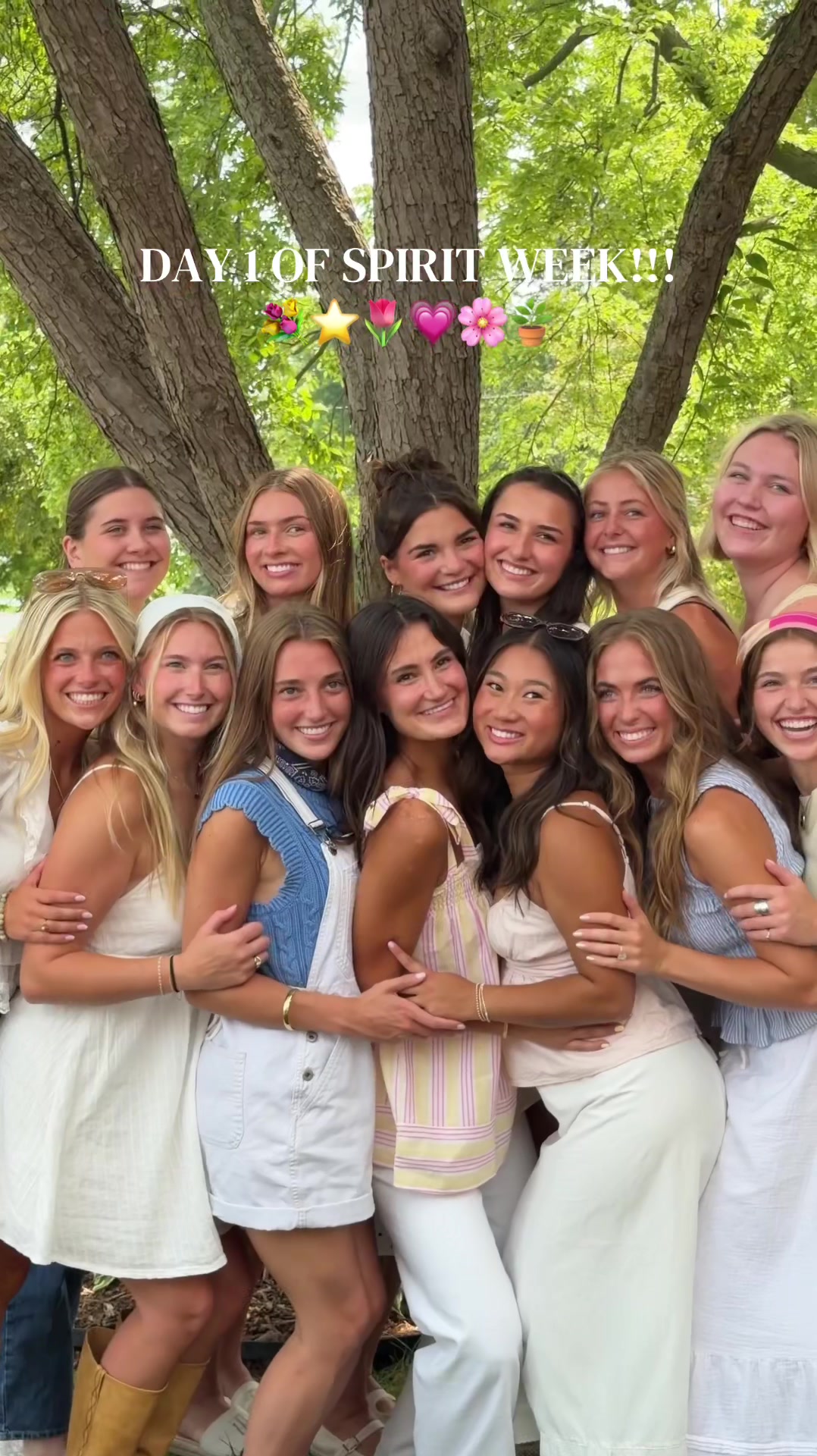 @IOWA STATE CHI O
