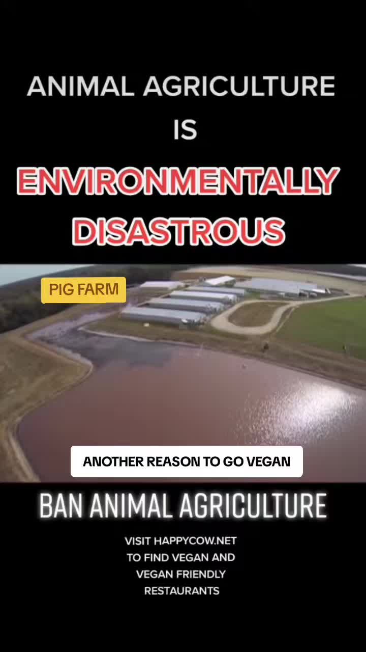 @veganssave