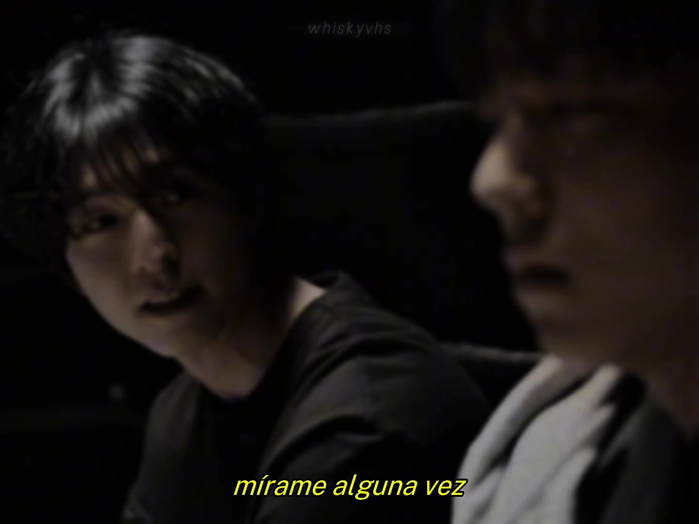 @pig's brain