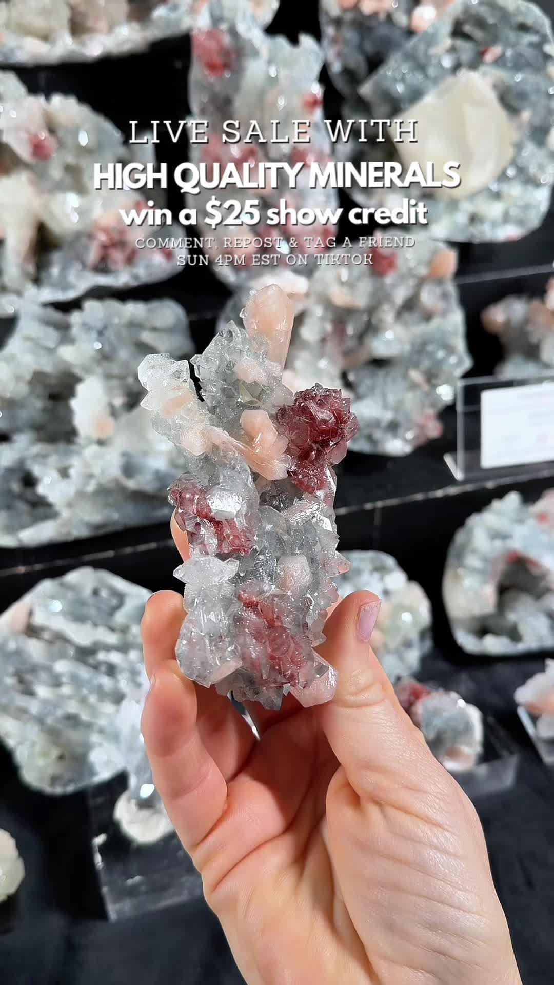 @Crystal Live Emporium✨Natalie
