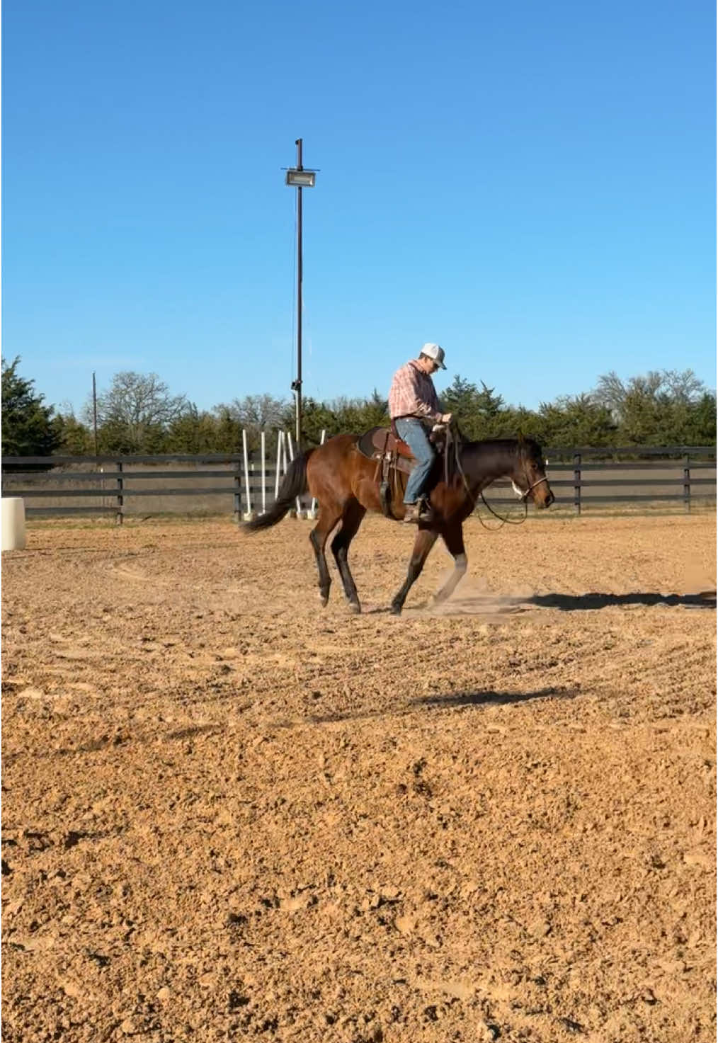 @HD Performance Horses
