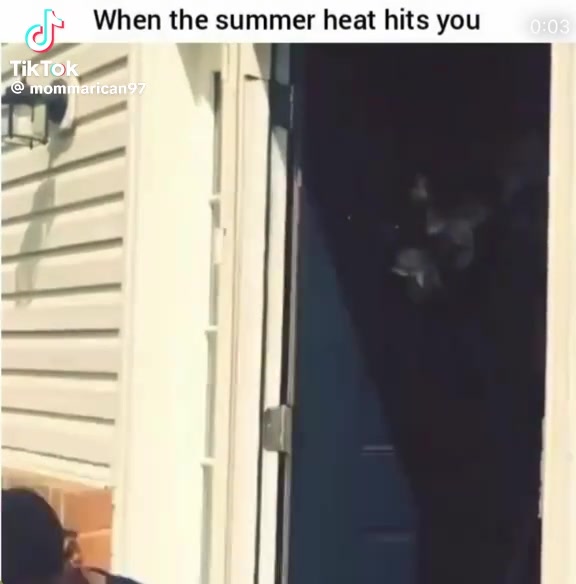 @aaronkane7777