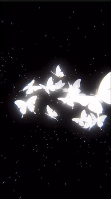 @🦋𝒮𝒶𝓈𝓈𝓎 𝐸𝓁𝓁𝒶🦋