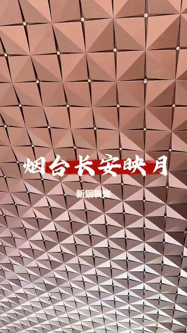@✅ ChinaAluPanelFactory