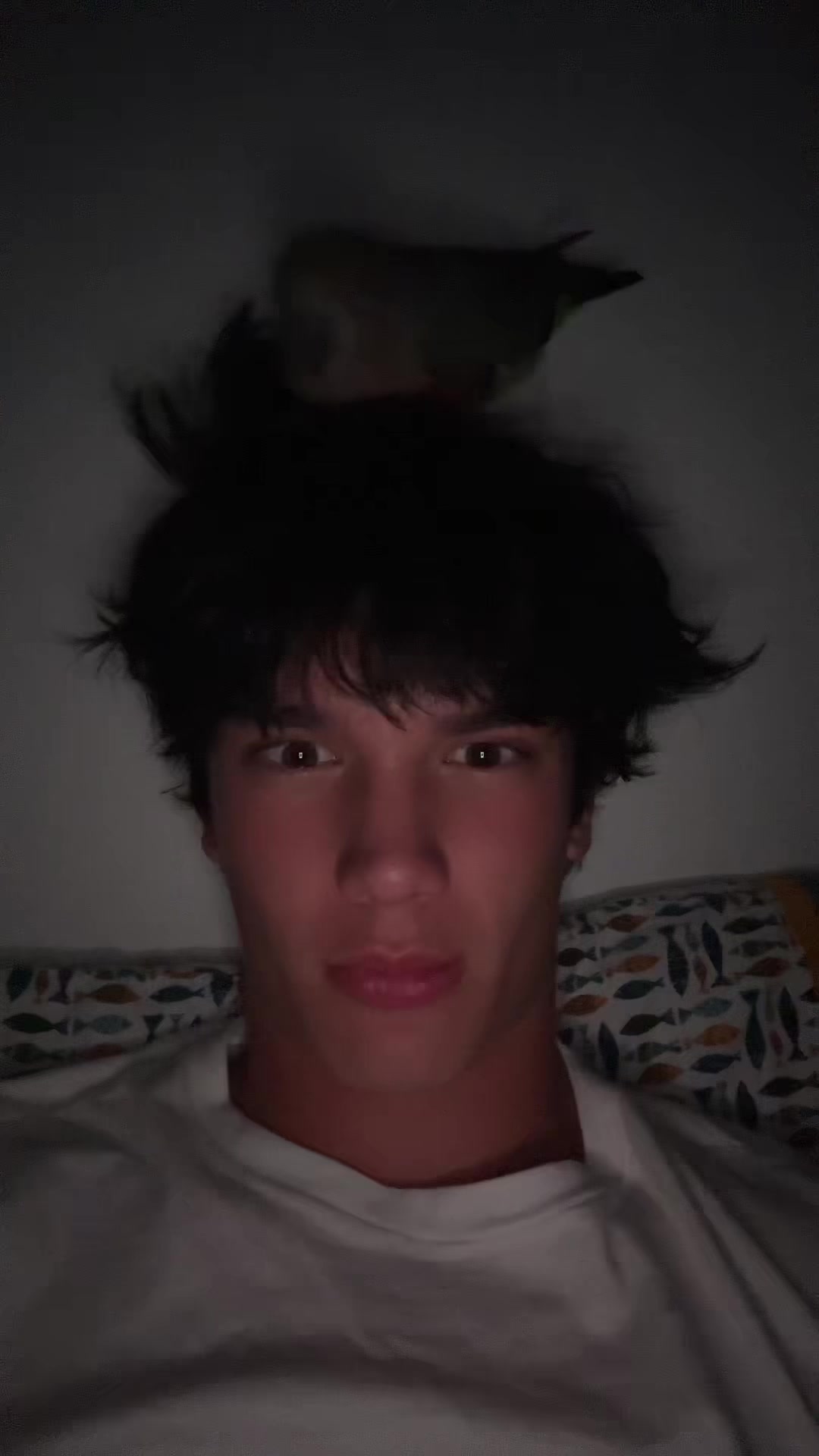 @eli