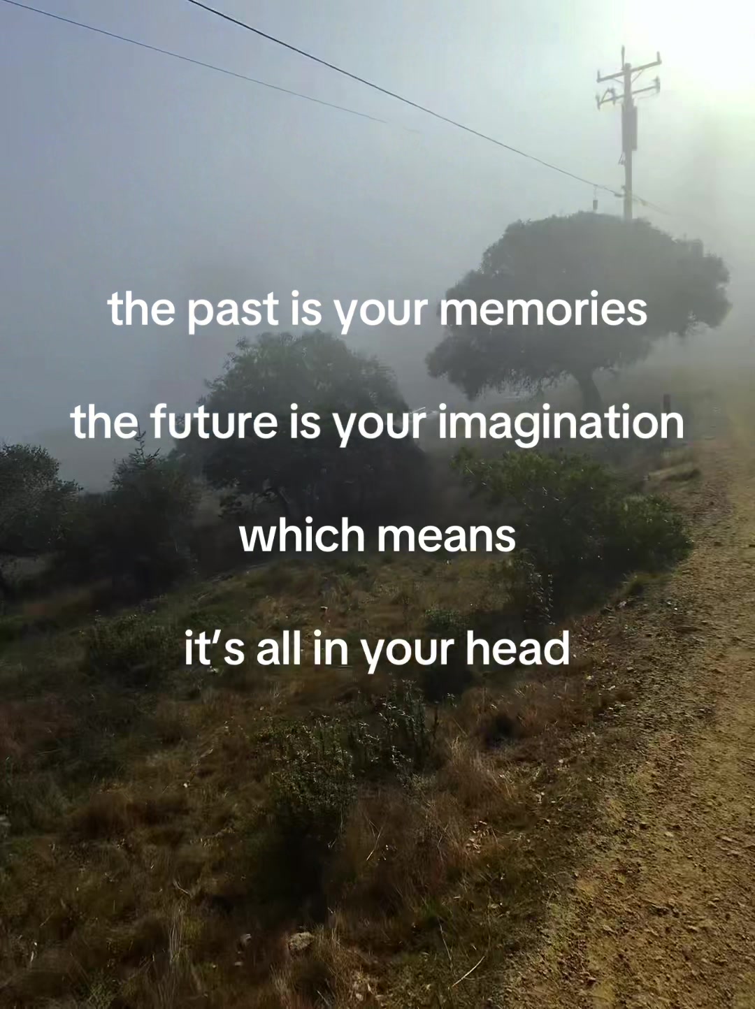 @soulreacher