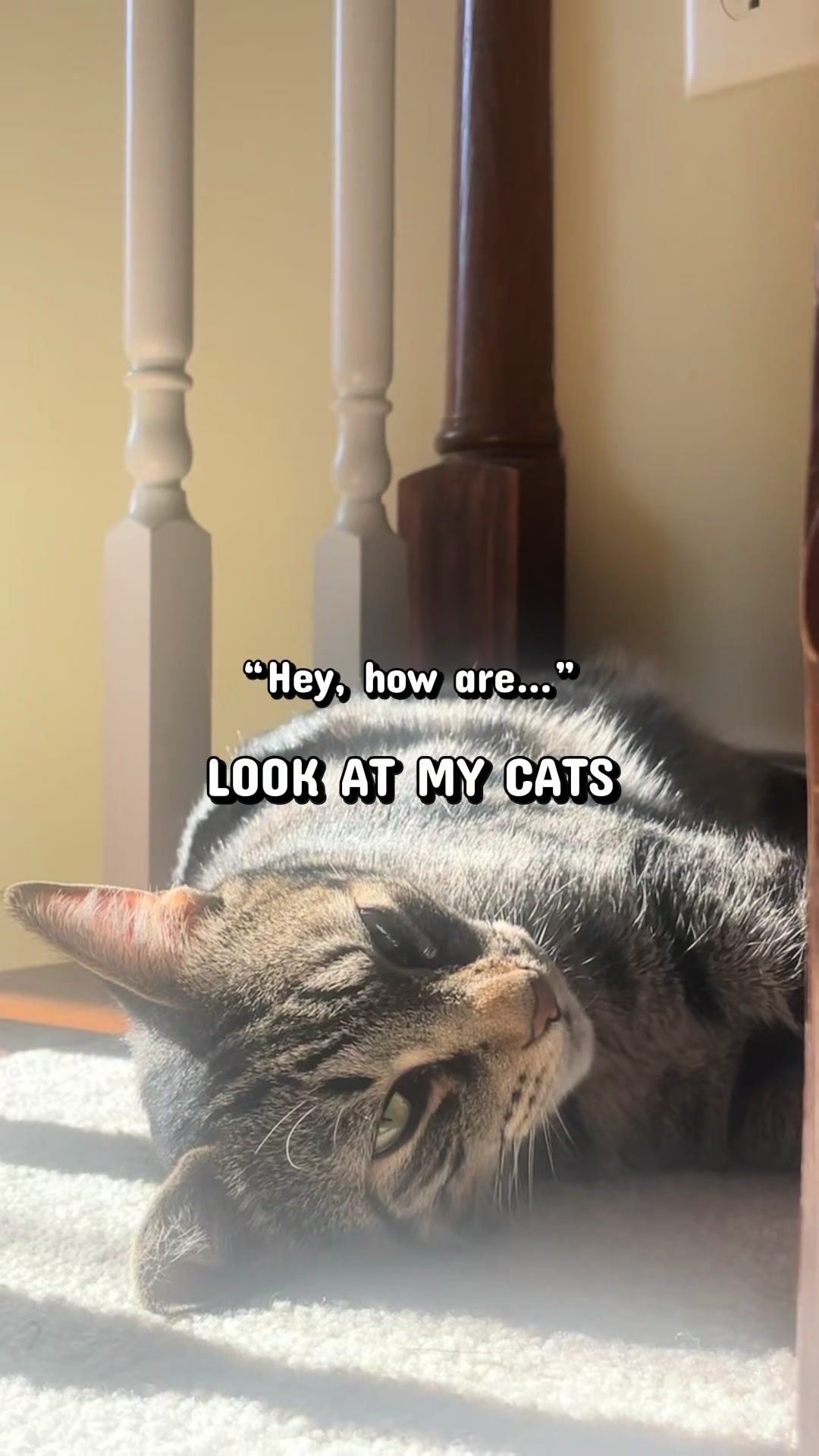@KittyUsurper