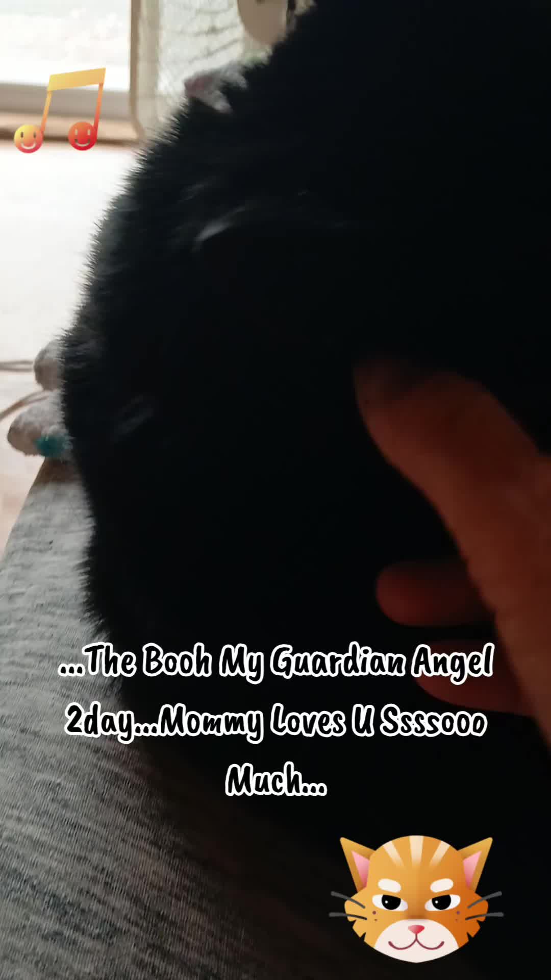 @Booh Hovey crazycatlady3