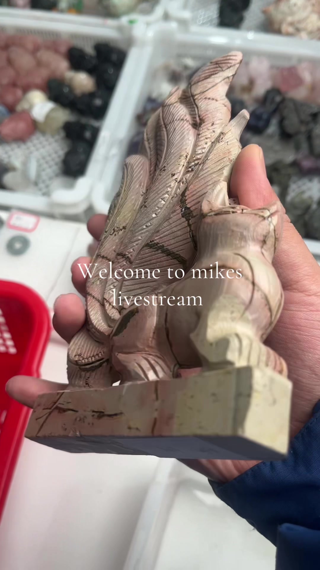@M&Y -crystal666