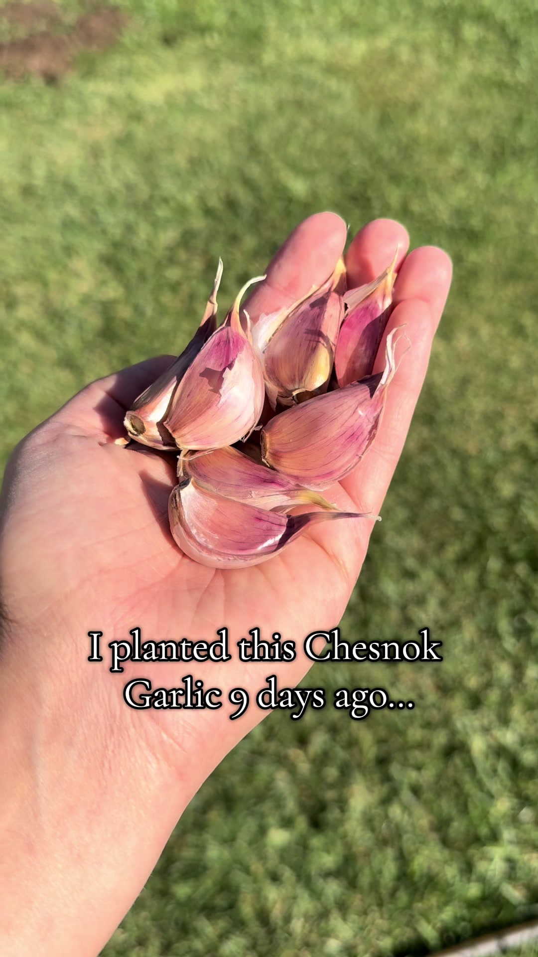 @plantingwithe