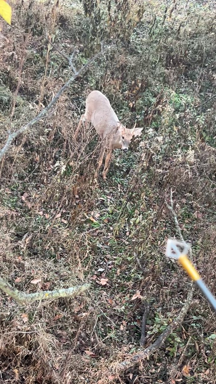 @HeadOutdoors