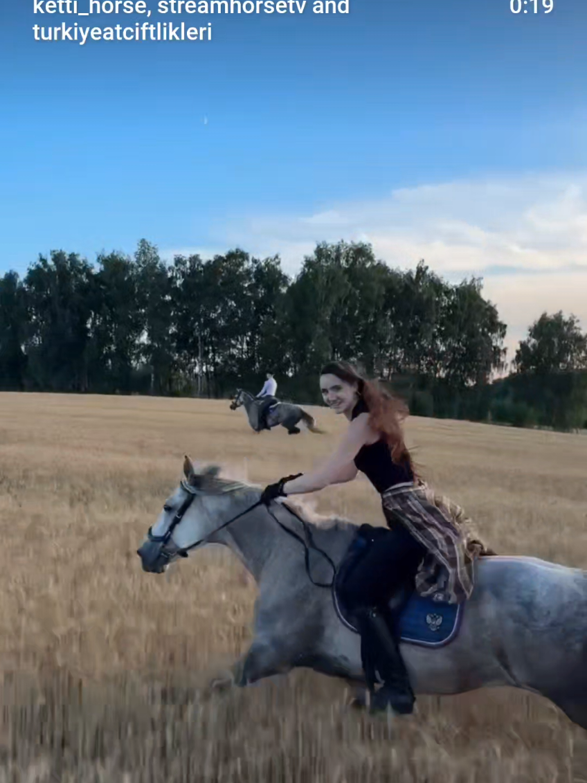 @streamhorse