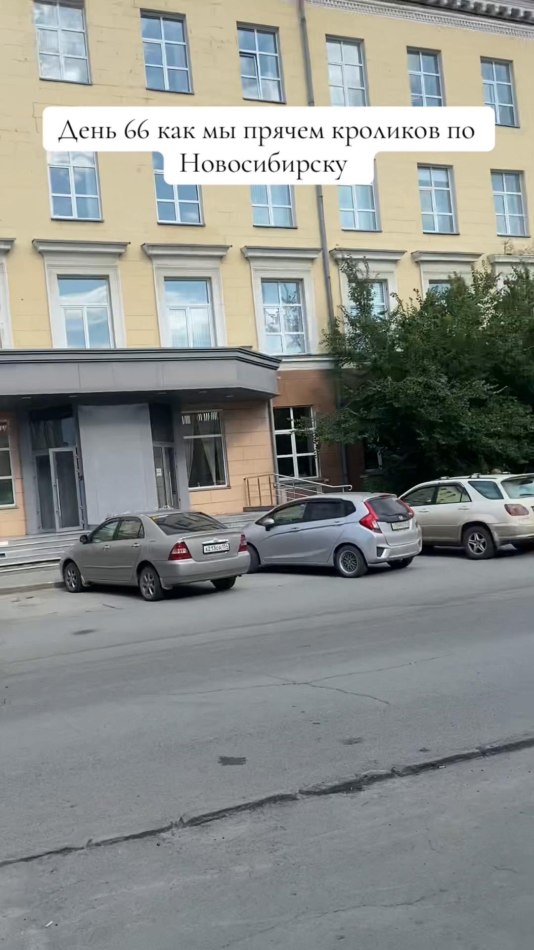 @Кролики