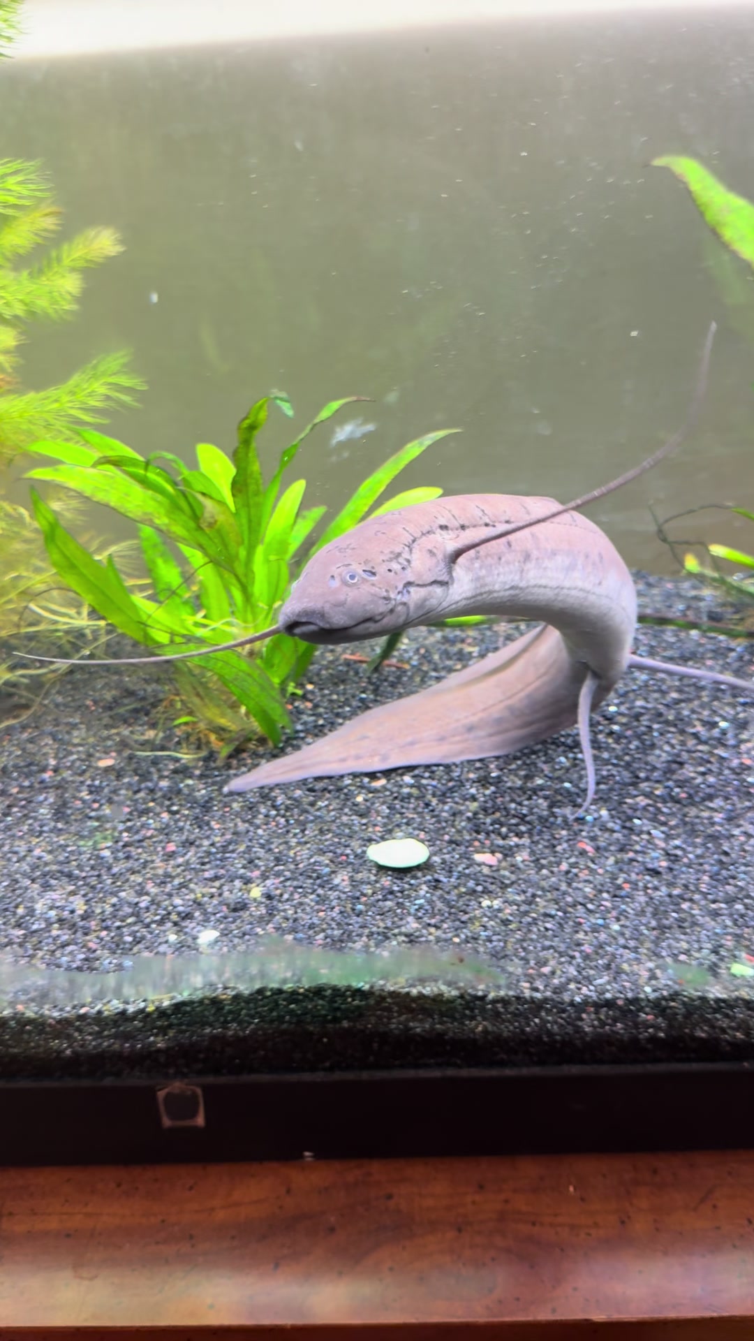 @fishdaddy2002