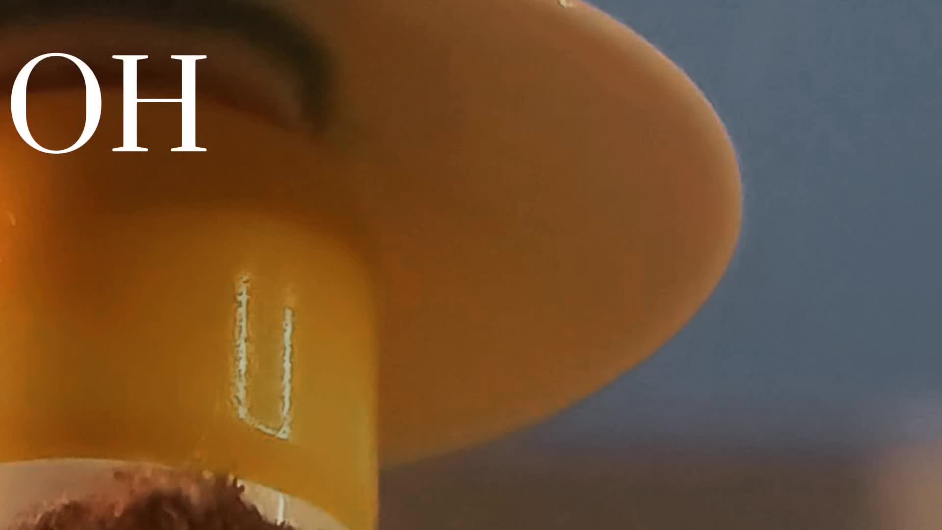 @guardianstopmotion