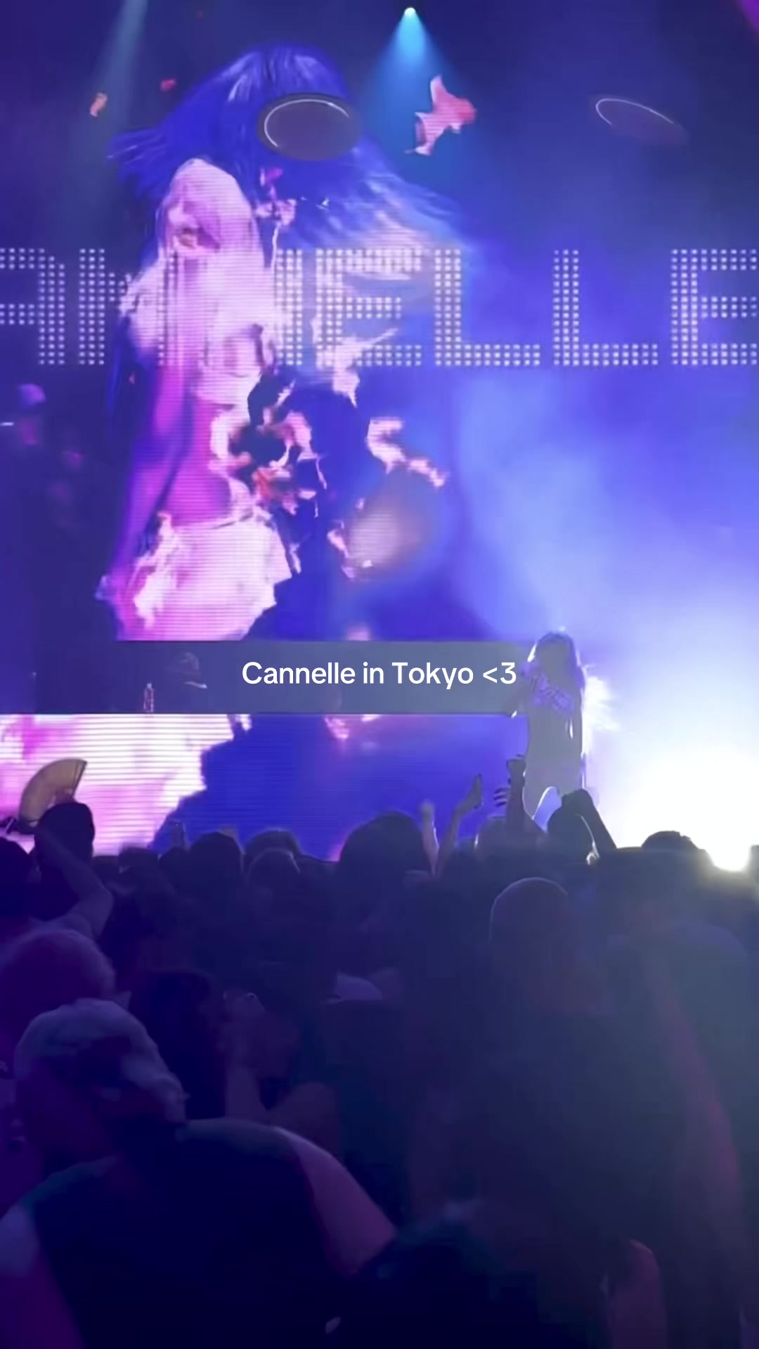@cannelle fan💎