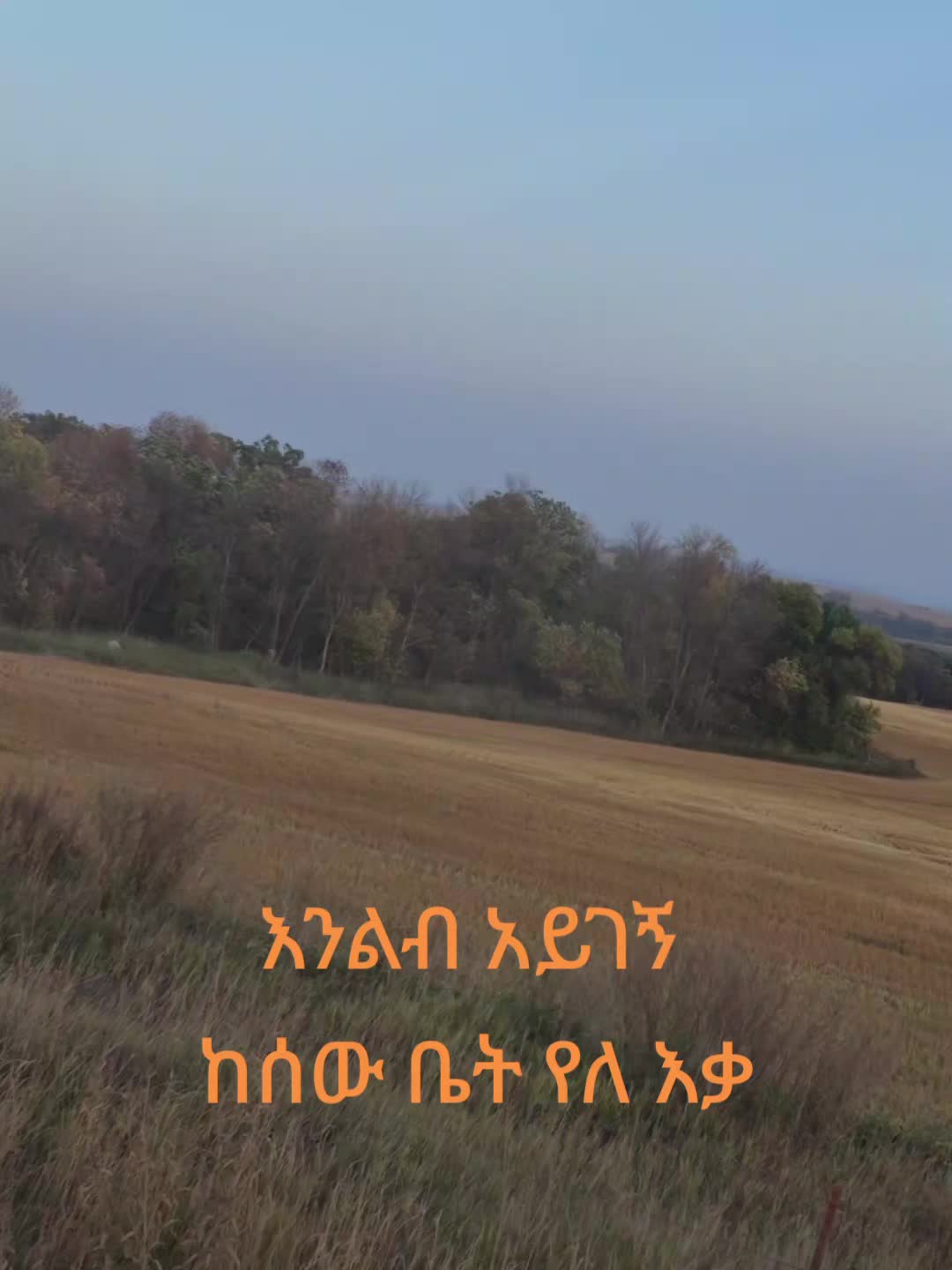 @befiker ኑሩ