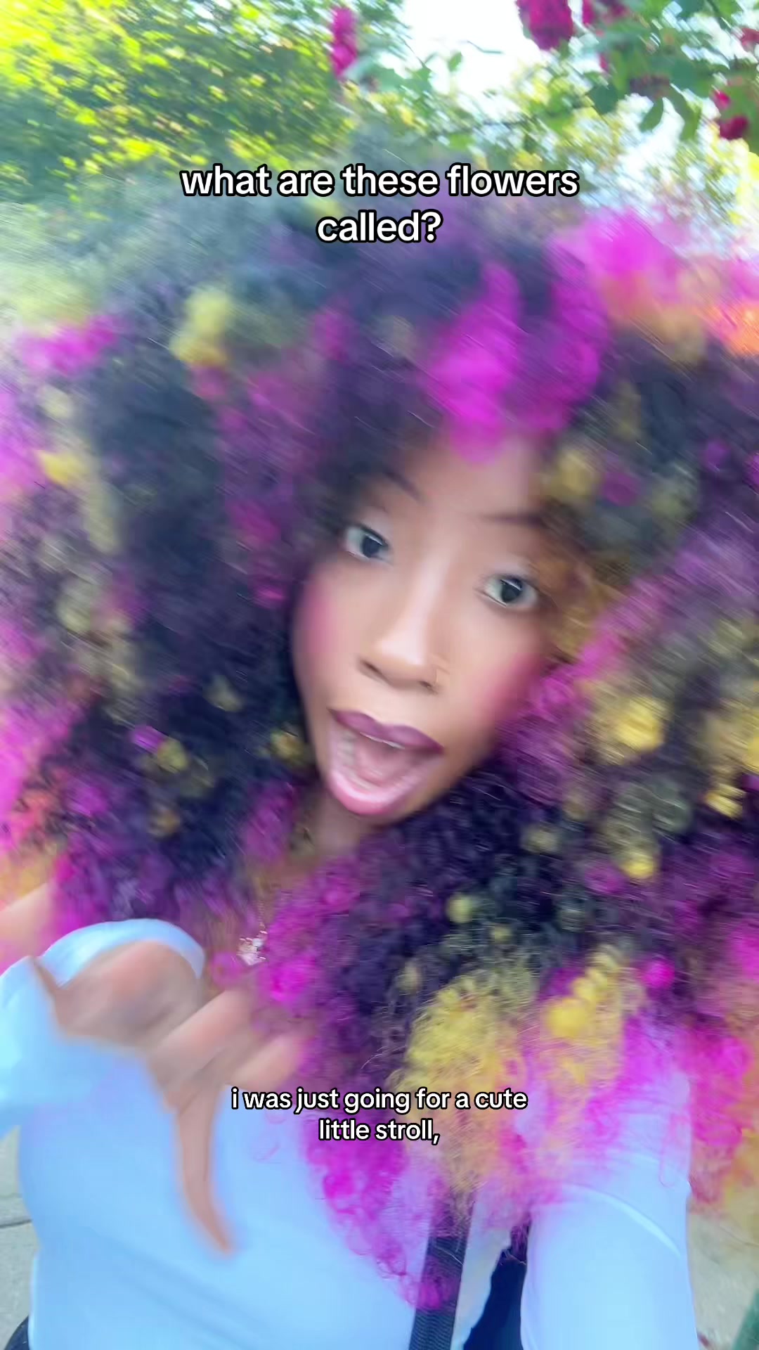 @marythefairie