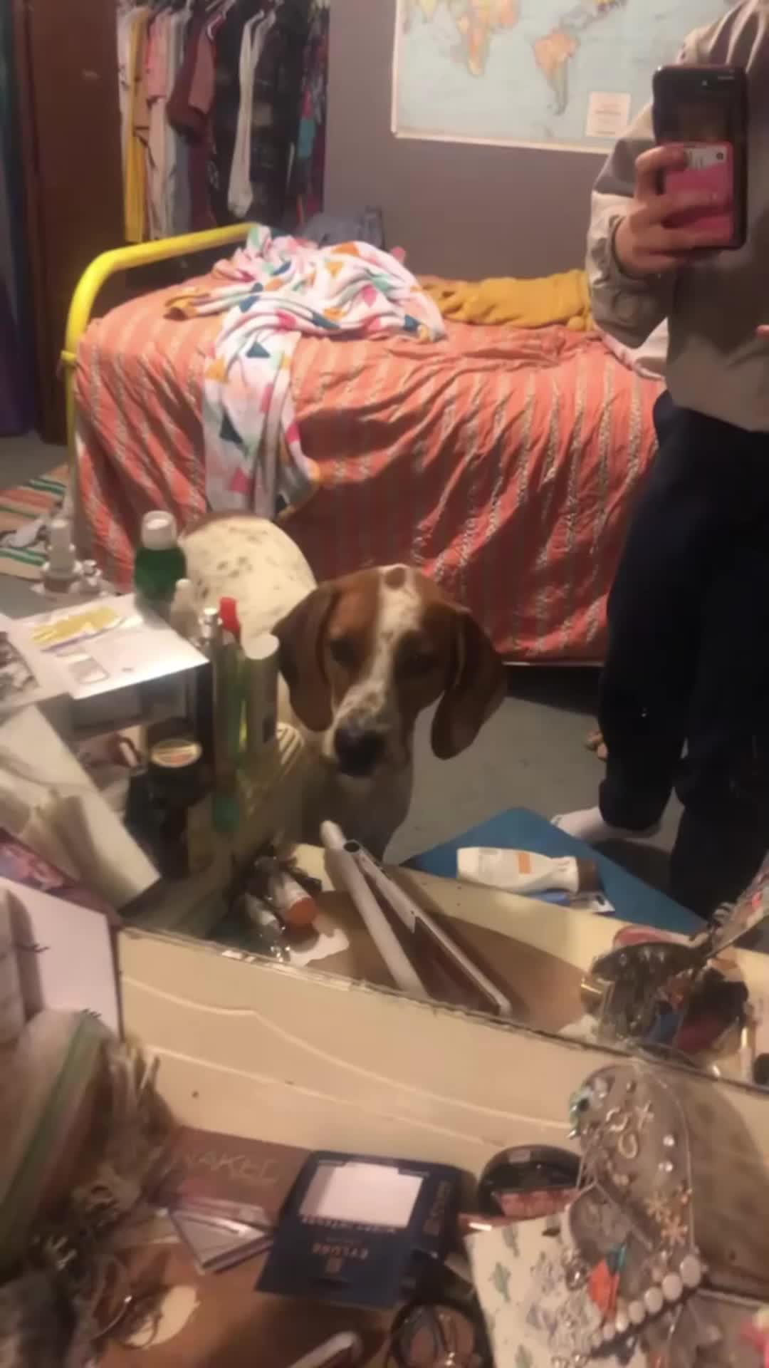 @cuteanimals472