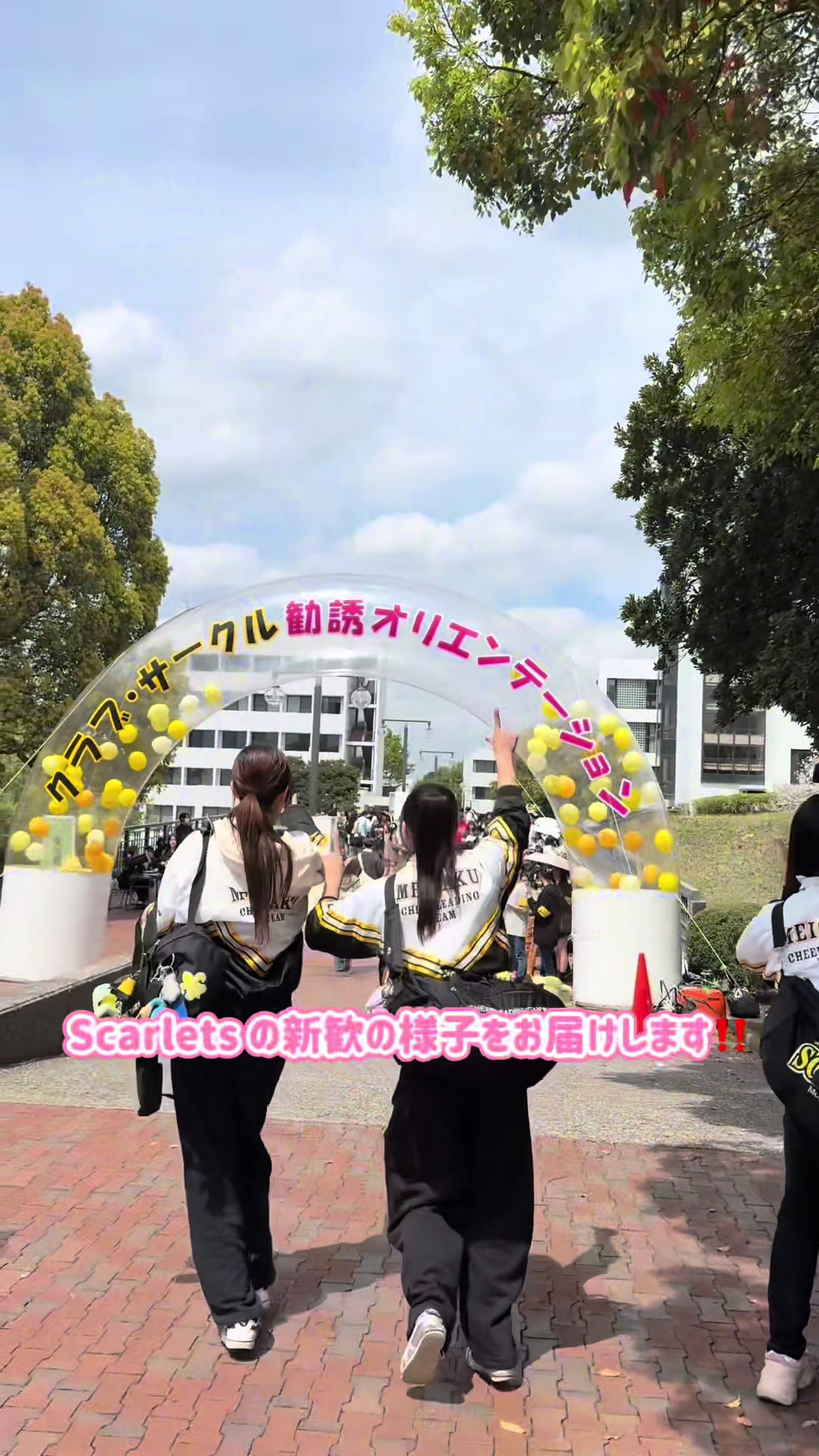 @明治学院大学チアリーディング部SCARLETS