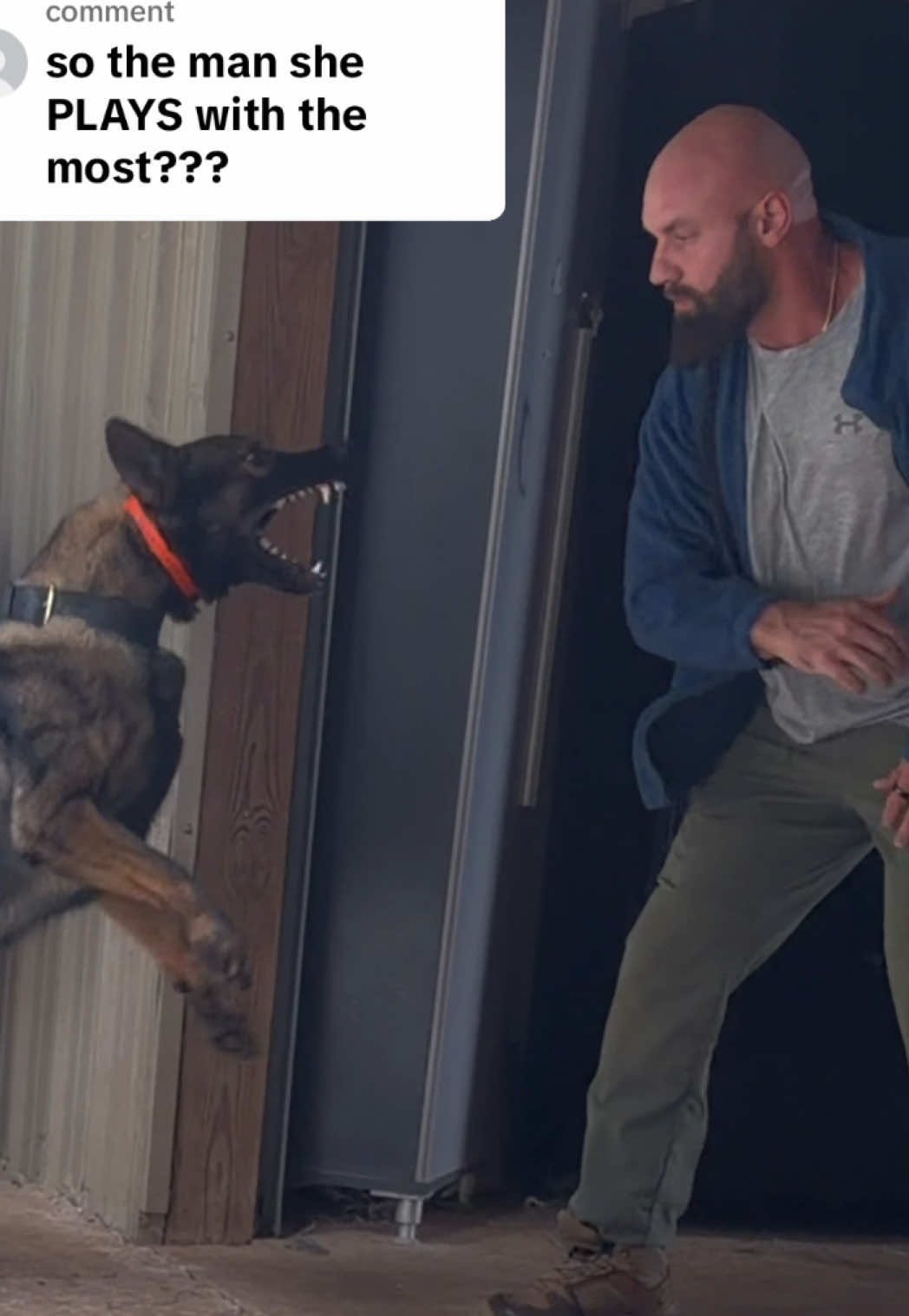 @True Guard K9 I Tara