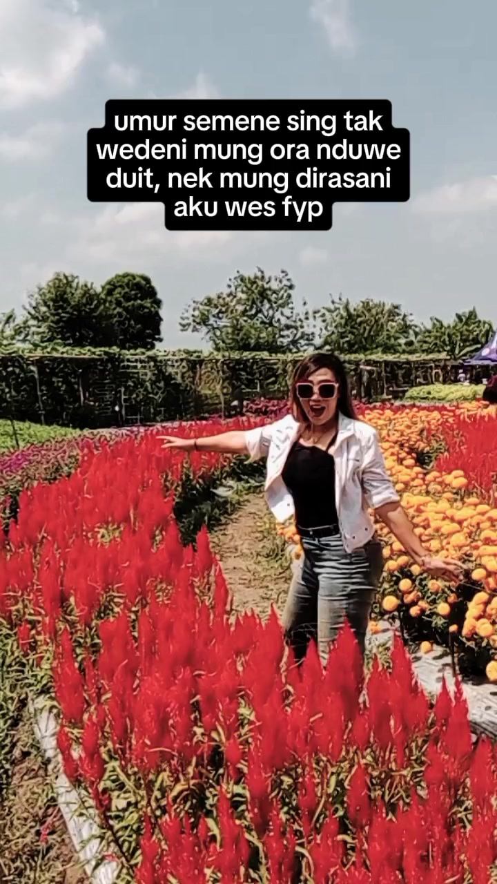 @rika mirtan