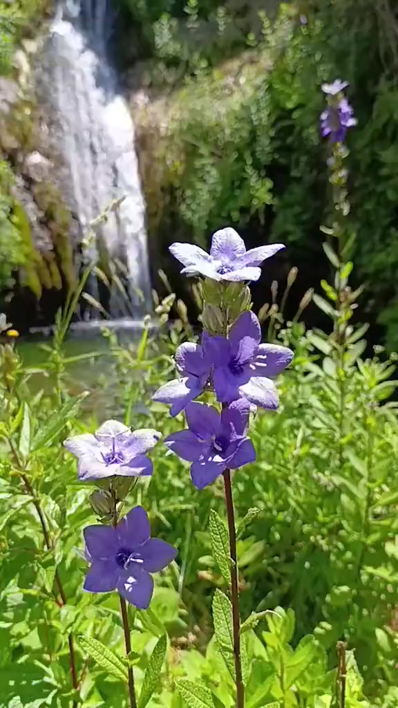 @JubaHiking