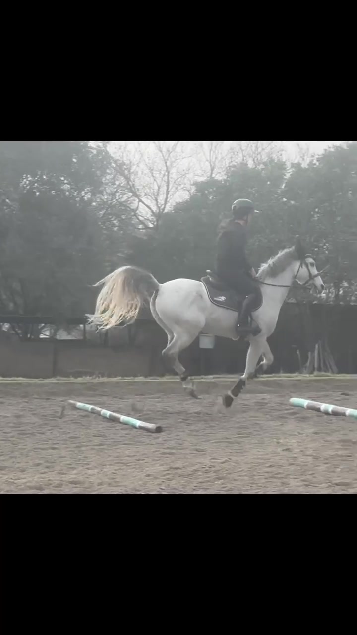 @Jay equestrian