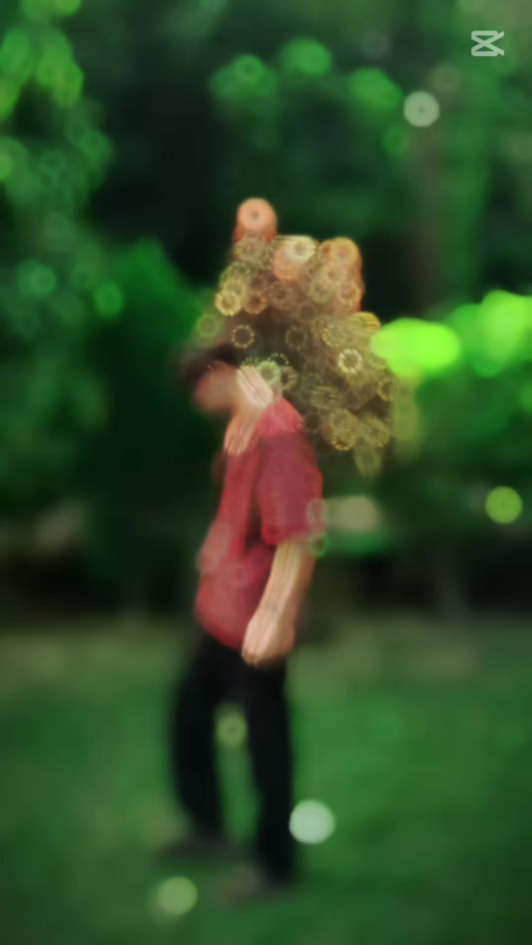 @꧁>ᴹᴿ᭄रोहन✾°>㋡꧂