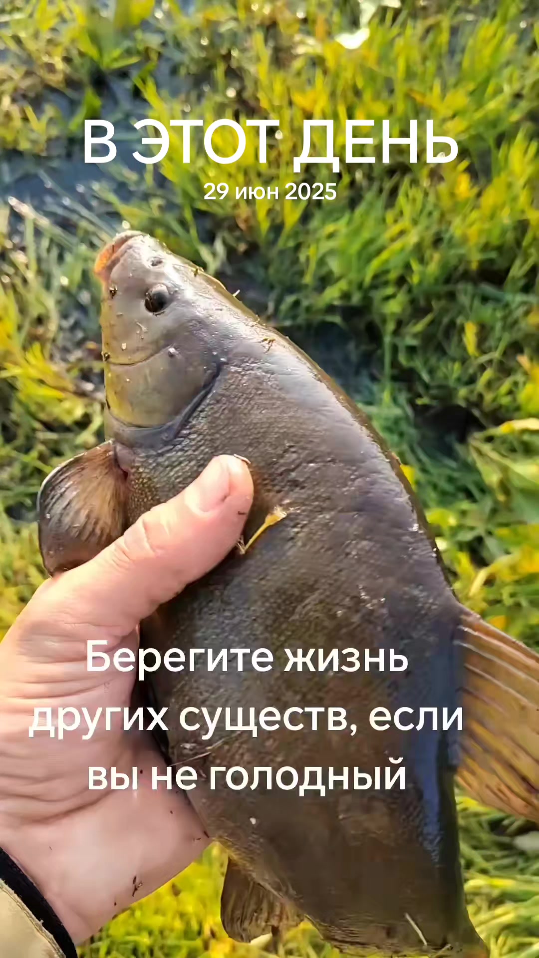@(ЖОР)Жизнь Одного Рыбака