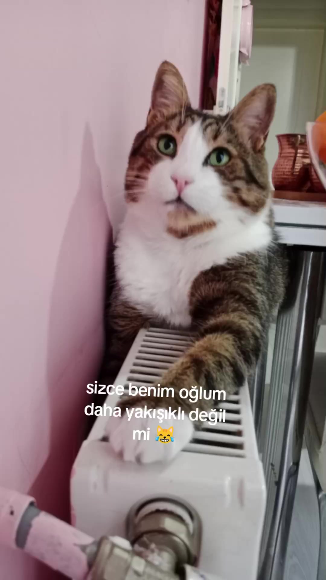 @şanslı