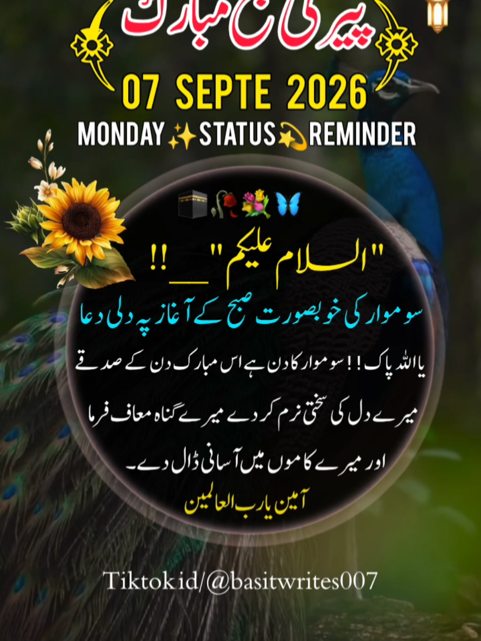 @basitwrites007