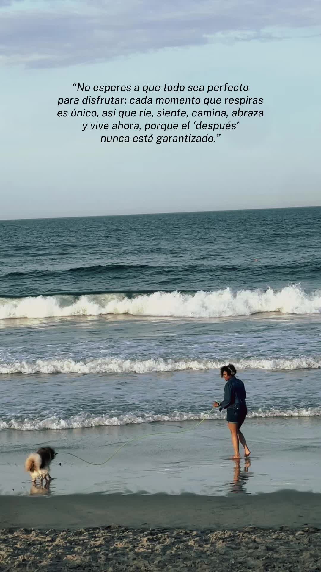 @Josefina Liranzo