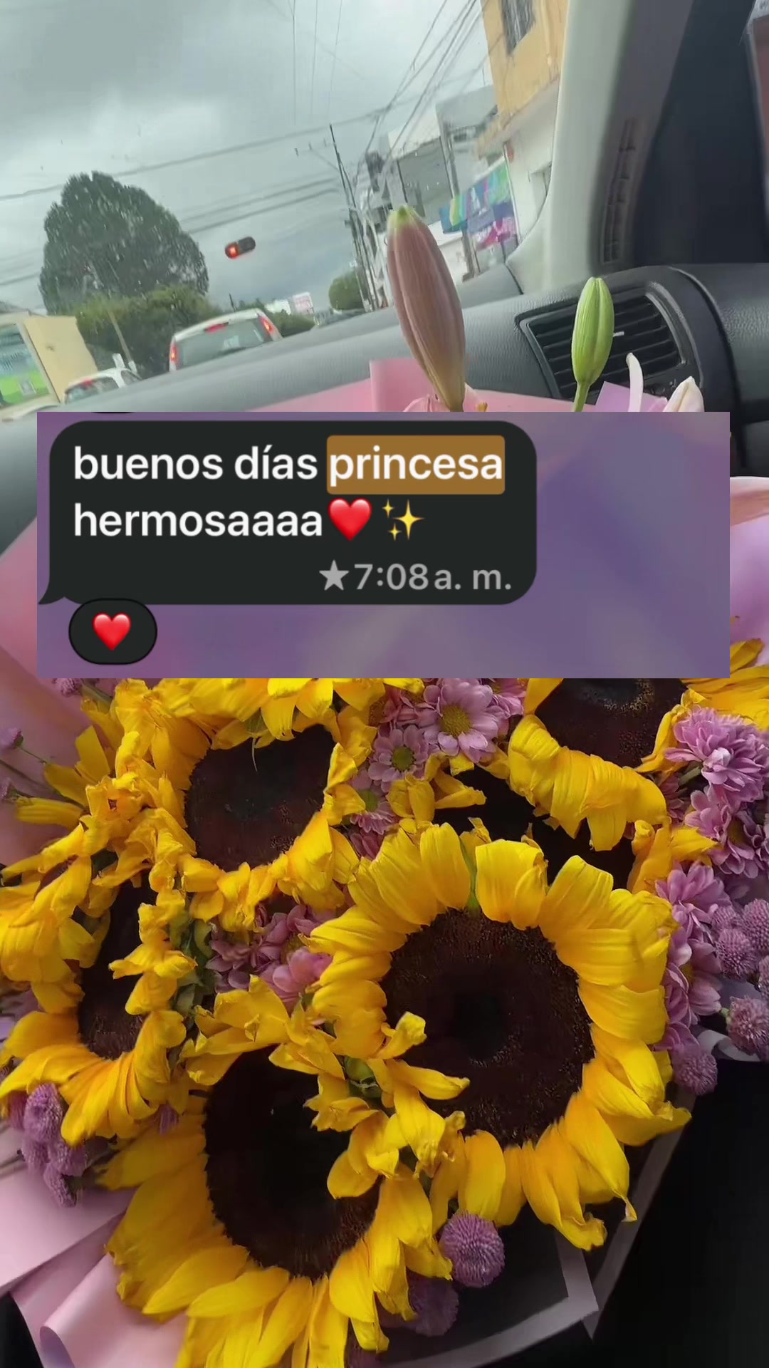 @Dianitaa